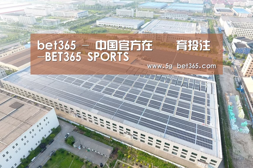 案例展示二