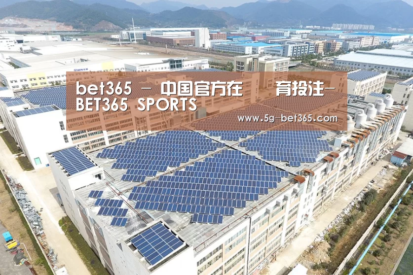 案例展示一