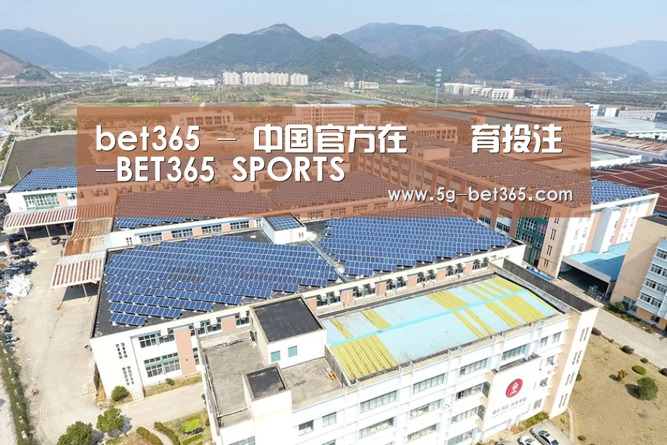 案例展示四