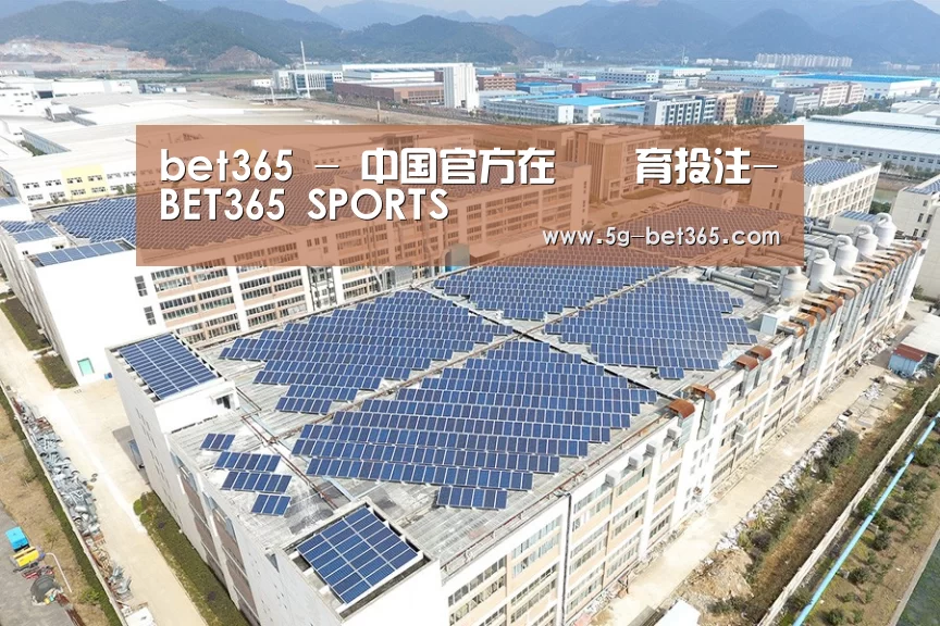 案例展示四