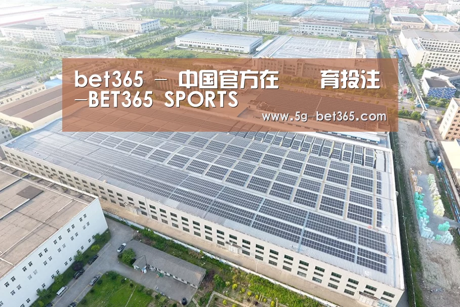 案例展示二