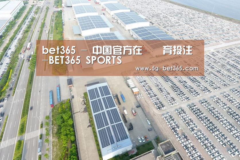 案例展示一