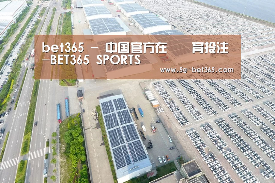 案例展示四