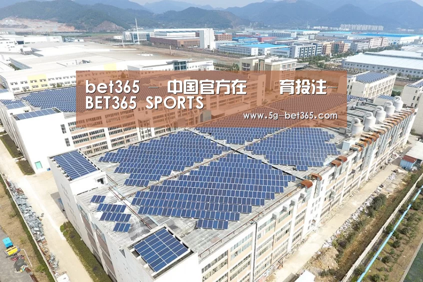 案例展示四