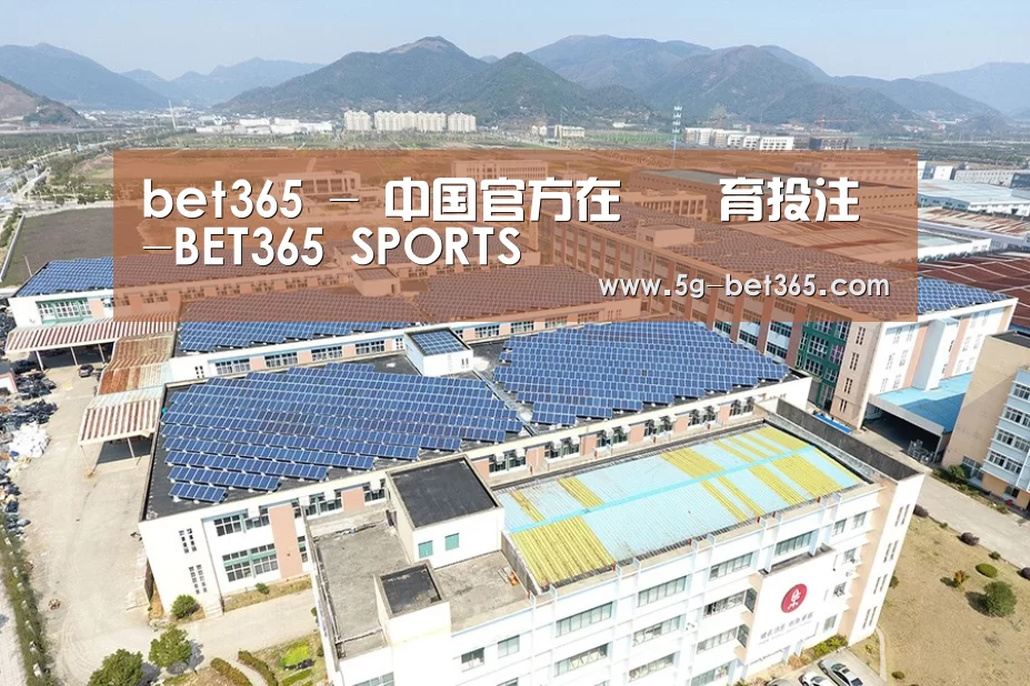 案例展示三
