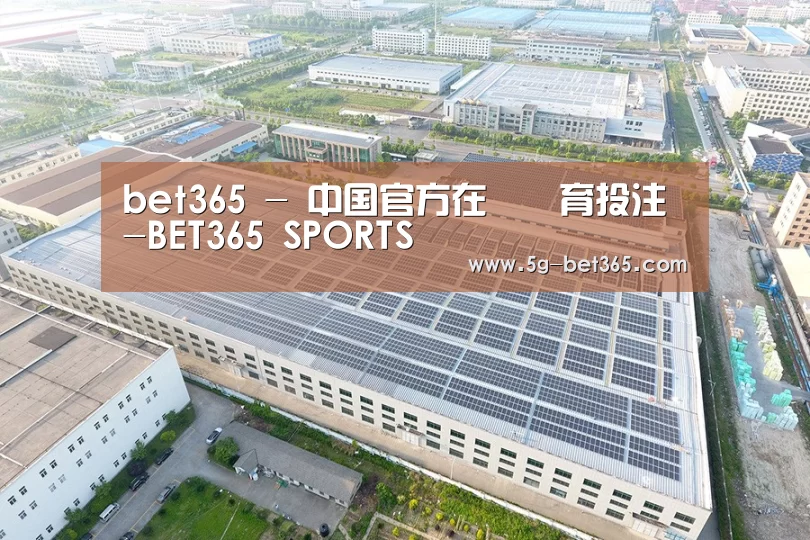 案例展示四