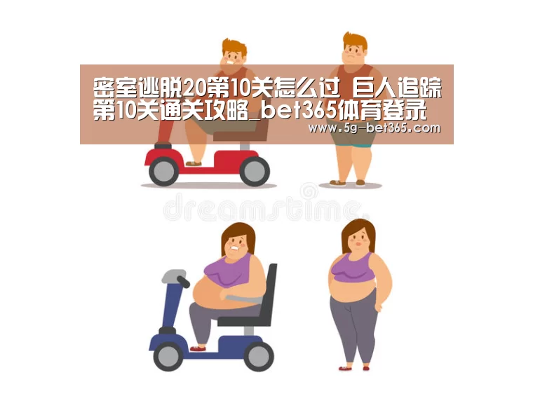 365体育