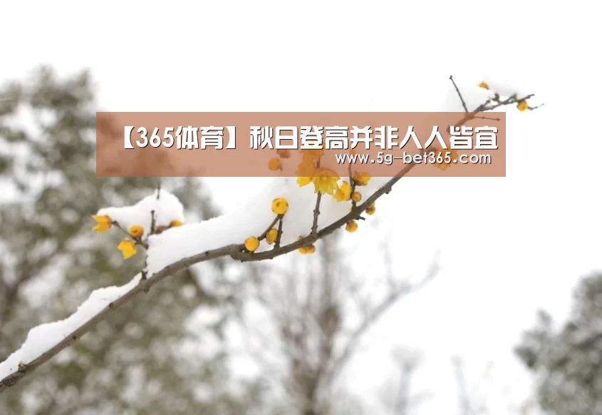 365体育